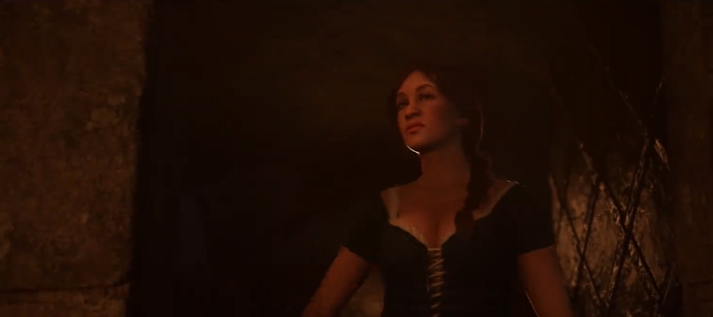 What is the story of Kingdom Come: Deliverance 2? A summary of the plot for Kingdom Come: Deliverance 2.
