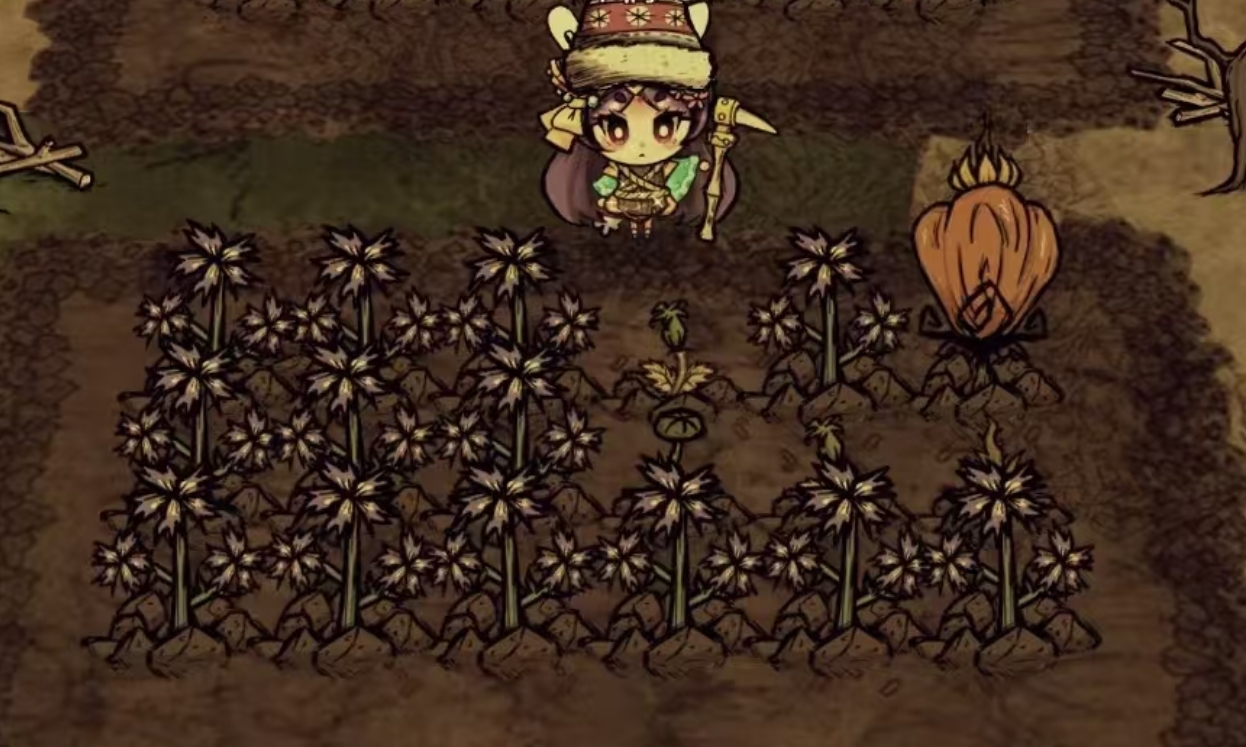 Was ist der Zweck von Vergissmeinnicht in Don't Starve Together? Anleitung zum Einsatz von Vergissmeinnicht in Don't Starve Together