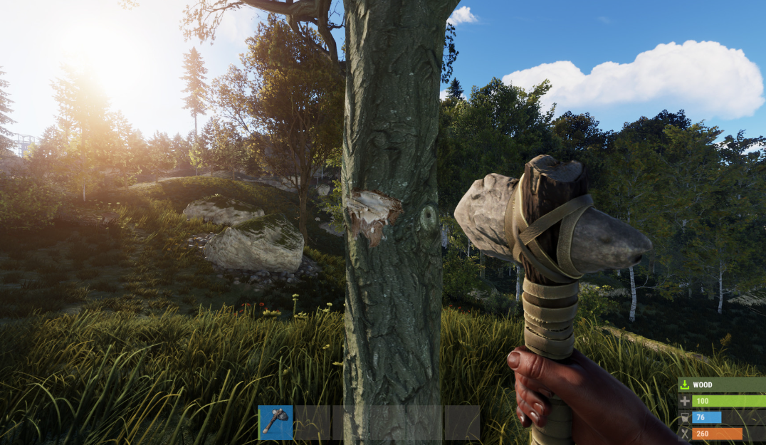 Wann wird das Rust-Handyspiel auf dem offiziellen Server veröffentlicht? Wann wird das Rust-Handyspiel veröffentlicht?