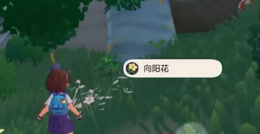Kingdom of Rock Early Game Guide and Tips Sharing for the Early Stages of the Kingdom of Rock Mobile Game