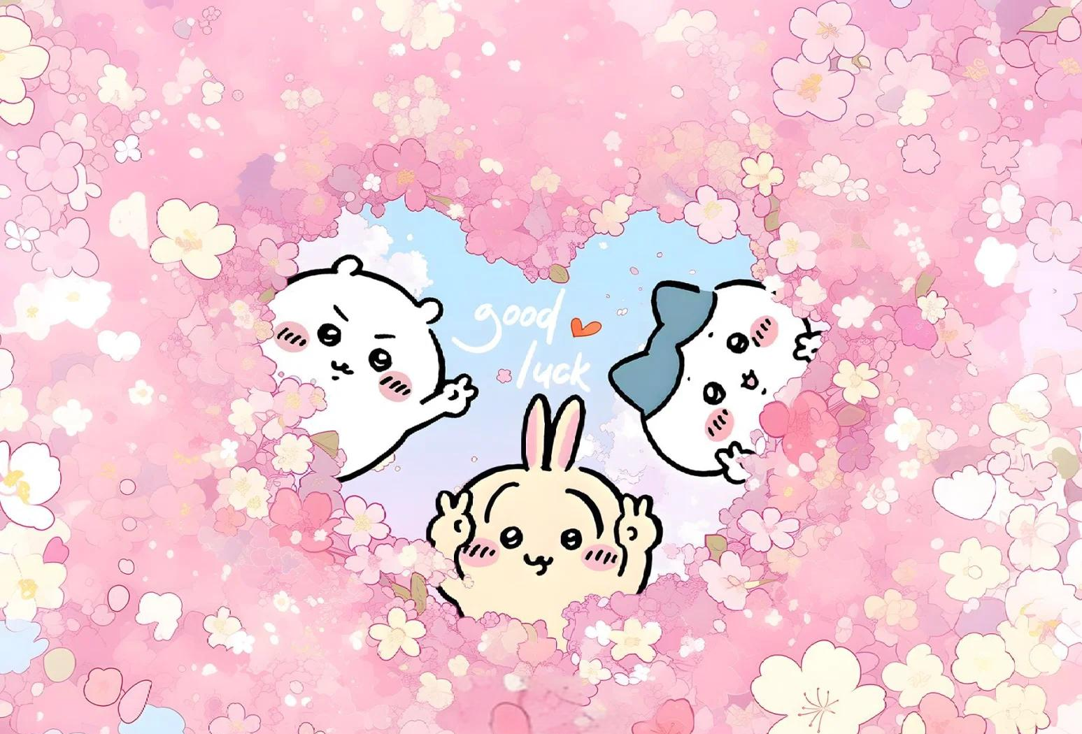 What to do if the registration for Pocket Chiikawa fails
