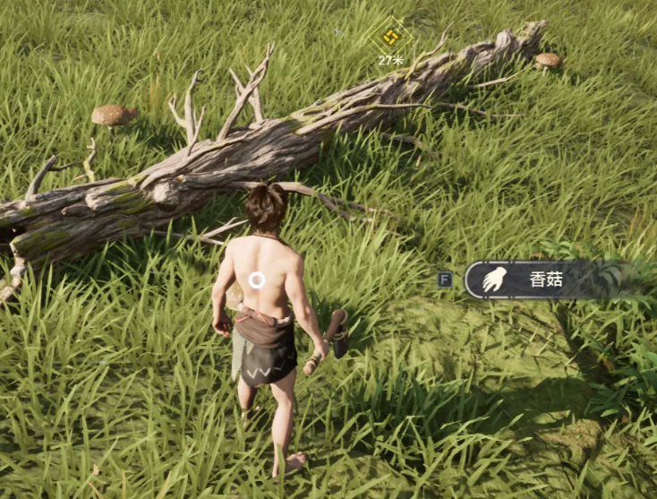 Wild Origin Exploration Guide How to Explore Wild Origin