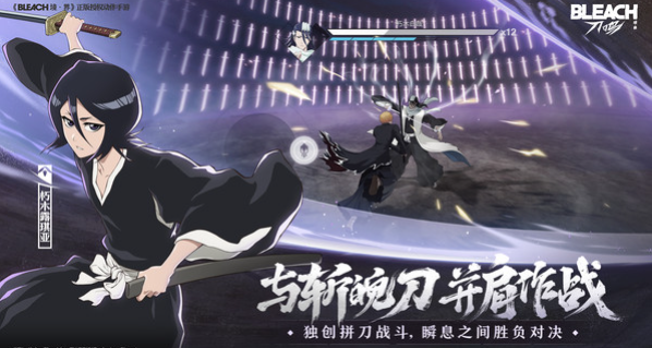 Realm of Sword Resonance is from which company? Introduction to the Realm of Sword Resonance company.