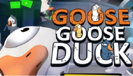 Wo kann ich das Spiel "Space Goose Duck Kill" herunterladen? Adresse zum Herunterladen des Spiels "Space Goose Duck Kill"