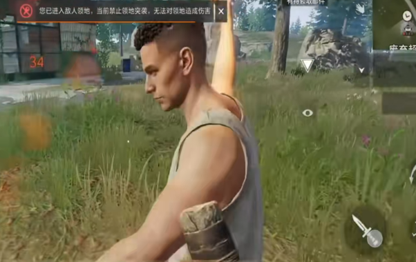 Wie man das Spiel