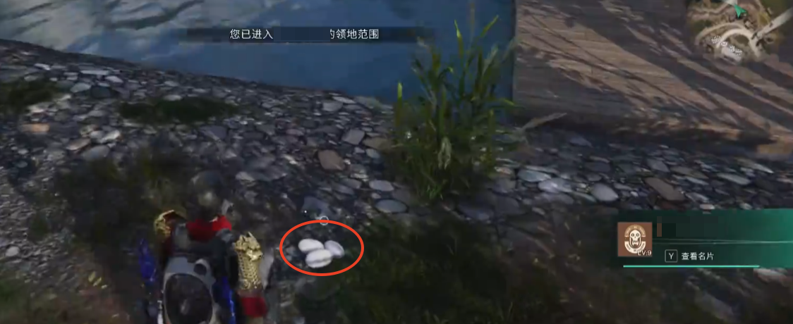 Where to farm crocodile eggs in the Seven Day World and how to collect them