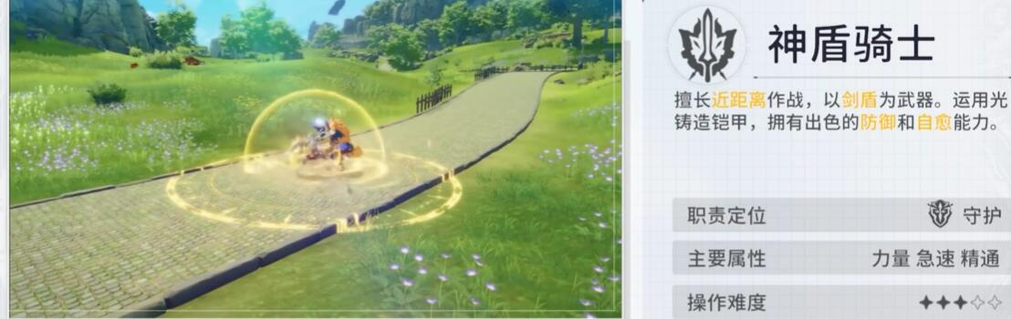 How to Play the Star Trace Resonance Protection Build Introduction to the Star Trace Resonance Divine Shield Knight Protection and Recovery Build