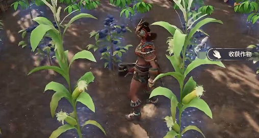 How to obtain wilderness origin corn and what is it used for
