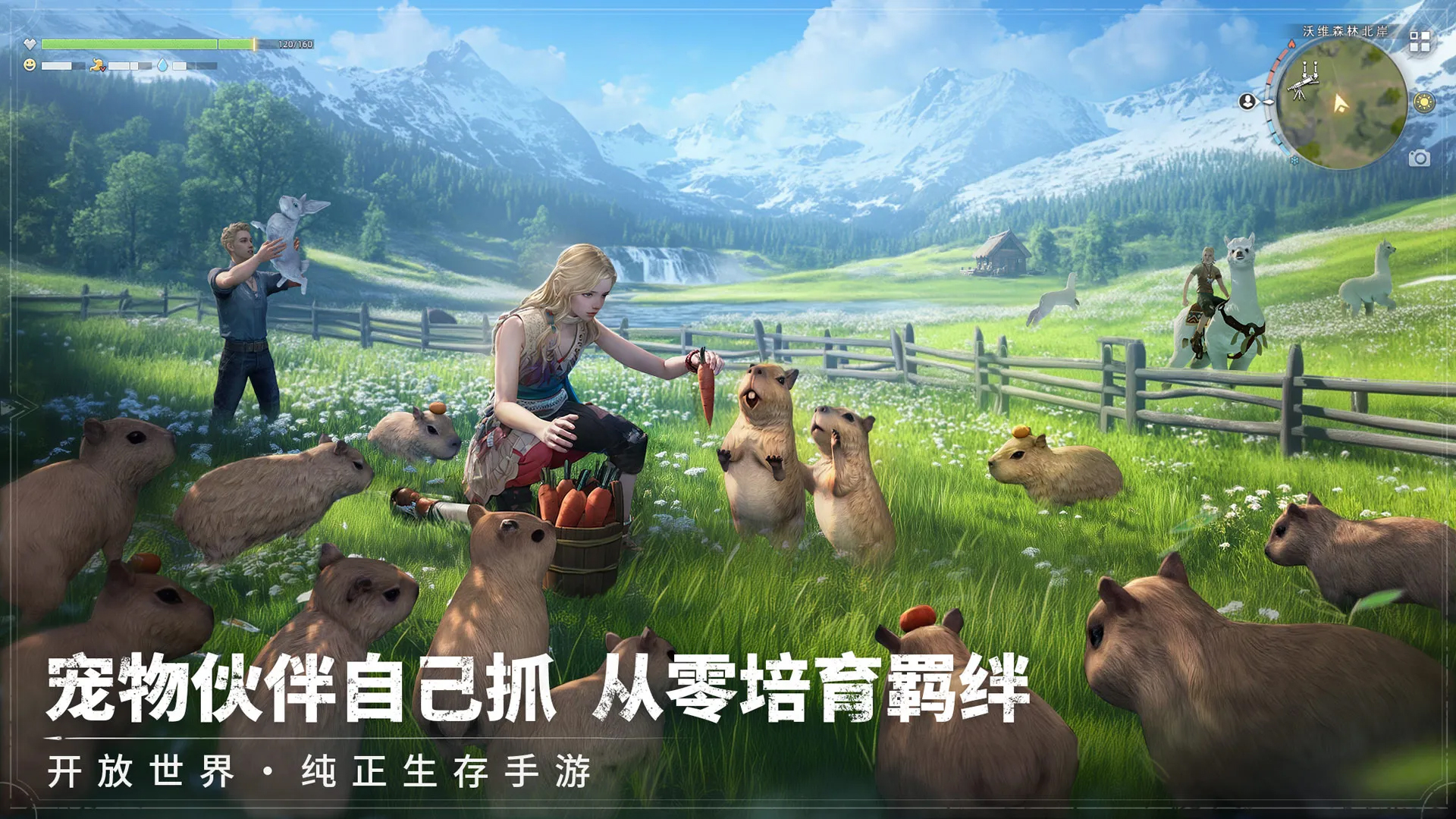 Thời gian thử nghiệm công khai của Dawn of the Wasteland là khi nào? Dawn of the Wasteland sẽ ra mắt khi nào?