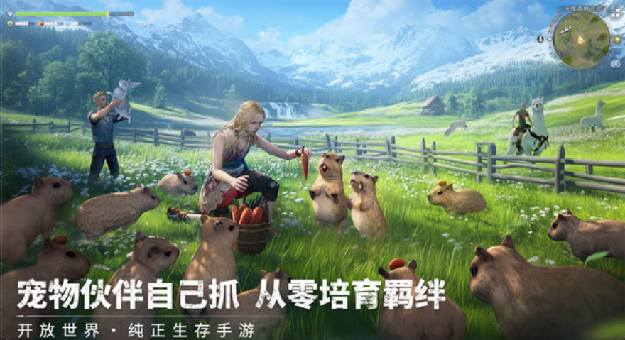荒原曙光奇物技能介绍 荒原曙光奇物暗夜之影什么技能