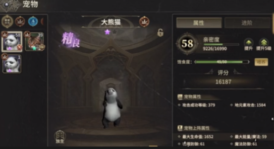 What pets should the Warrior from Miracle World Origin bring? A guide to recommended pets for the Warrior in Miracle World Origin