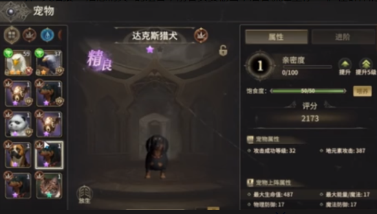 What pets should the Warrior from Miracle World Origin bring? A guide to recommended pets for the Warrior in Miracle World Origin