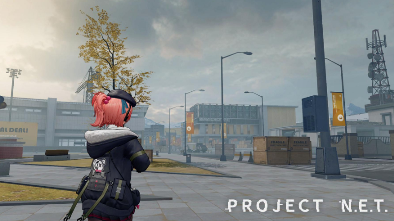 ProjectNET Beginner's Guide: An Overview of Strategies for New Players