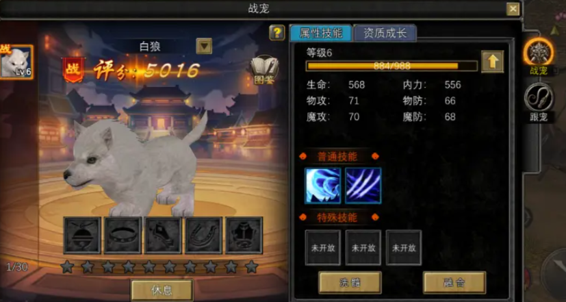 How to Obtain Dream Silk Road Pets: A Guide to Dream Silk Road Pets