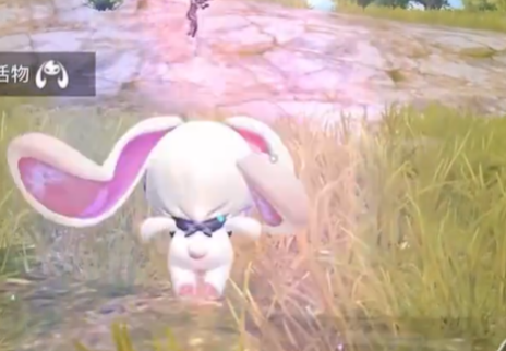 Introduction to Bursting Cute Rabbit in Peace Elite How is the Bursting Cute Rabbit in Peace Elite?