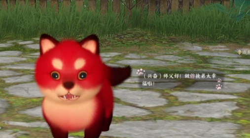 Introduction to Pet Dialogue Gameplay in Justice Mobile: How to Play Pet Dialogue in Justice Mobile