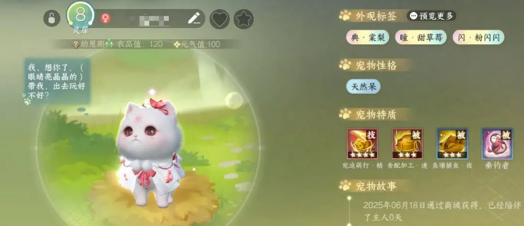 Introduction to Pet Dialogue Gameplay in Justice Mobile: How to Play Pet Dialogue in Justice Mobile
