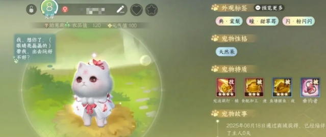 Introduction to Pet Dialogue Gameplay in Justice Mobile: How to Play Pet Dialogue in Justice Mobile