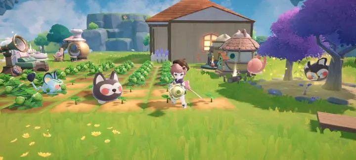 Detailed Mimu Mimu Ha Strategy Guide: How to Play for Beginners