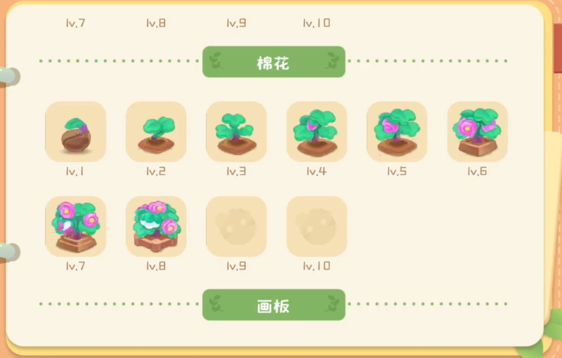 Carbon Carbon Island Guide and Handbook