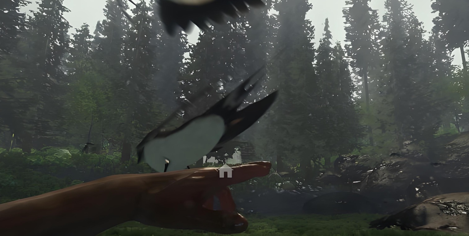 How much is The Forest during the 2025 Steam Summer Sale? An introduction to the price of The Forest during the 2025 Steam Summer Sale.