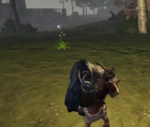 How to Play and Capture Pets in Wasteland Dawn