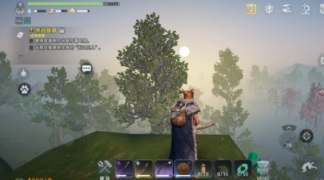 Where is the Dawn of the Wilderness treasure location? A look at the Dawn of the Wilderness treasure location positions