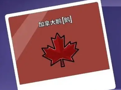 บท樯ษณีย์ทักษะตัวละครในเกม Goose Goose Duck 有哪些鹅鸭杀手游角色技能