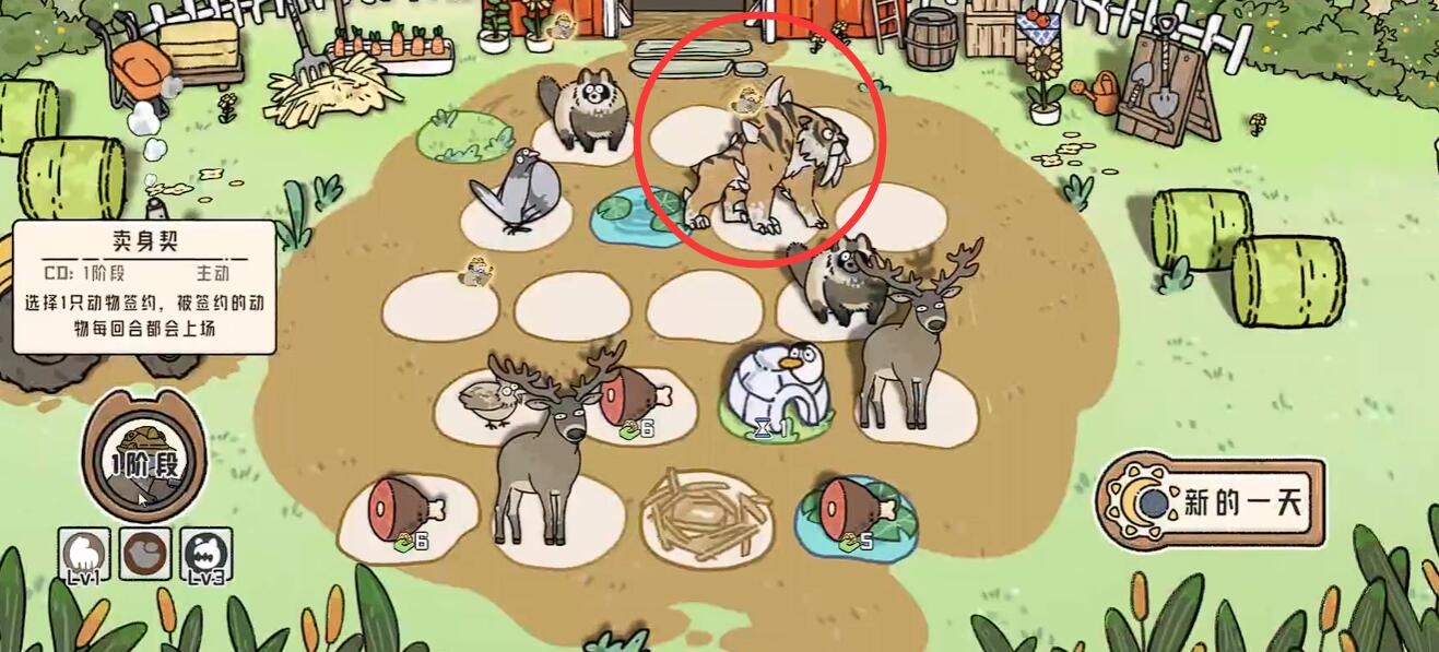Which Cat God Ranch Schools Are There? Introduction to Cat God Ranch Schools