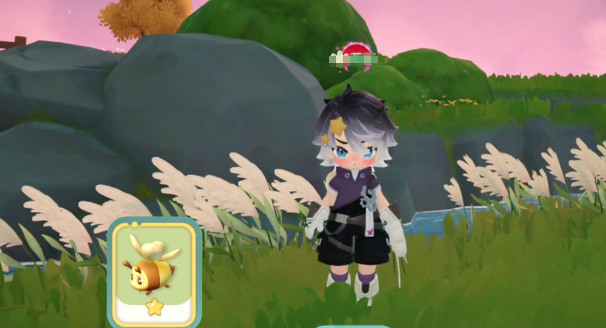 Cara Menangkap Lebah Kecil Jingga Mimimimha Panduan untuk Menangkap Lebah Kecil Jingga Mimimimha