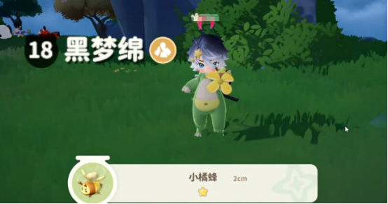 Cara Menangkap Lebah Kecil Jingga Mimimimha Panduan untuk Menangkap Lebah Kecil Jingga Mimimimha