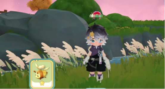 Cara Menangkap Lebah Kecil Jingga Mimimimha Panduan untuk Menangkap Lebah Kecil Jingga Mimimimha