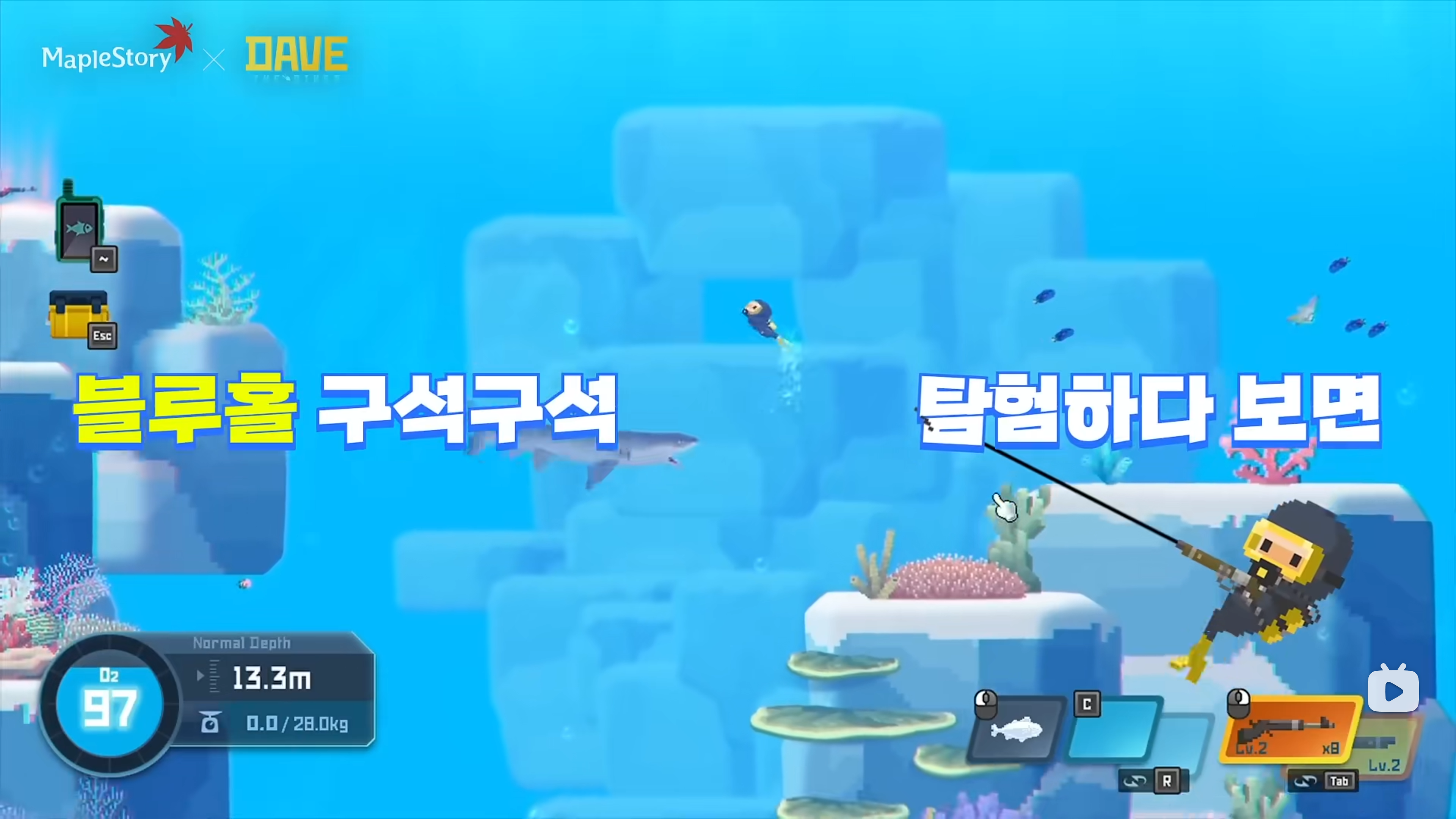 นักดำน้ำเดฟร่วมกิจกรรมกับ MapleStory คือเมื่อไหร่