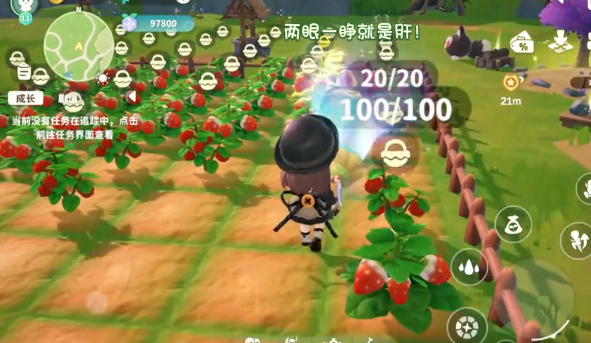 วิธีการเล่น Mium Mium Ha Dagong Mium คู่มือการเล่น Mium Mium Ha Dagong Mium