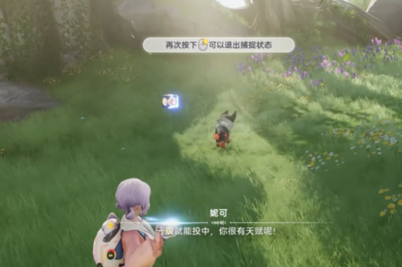 How to Catch Pets in Imo: A Guide to the Pet Catching Feature in the Imo Mobile Game