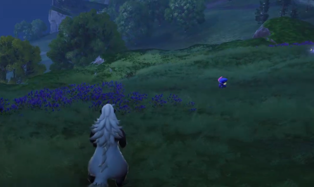 Imo Blue Stone Platform Capture Guide What pets are there in the Imo Blue Stone Platform