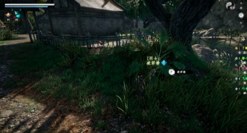How to Improve the Feather Master in Jianghu 2: A Guide for Career Advancement in the Jianghu 2 Mobile Game
