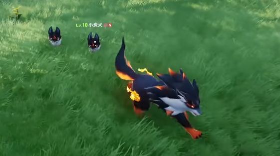 How to Choose Pets for Newbies in Imo: A Guide to Recommended Pets for New Players in the Imo Mobile Game