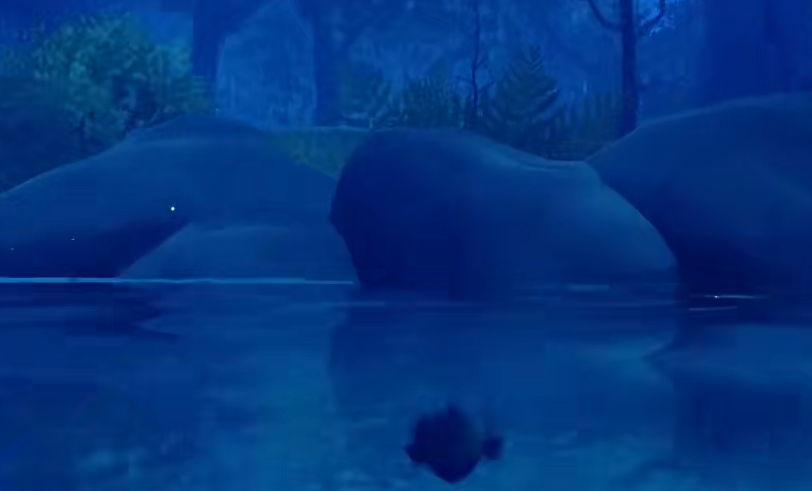 Ich bin der Piranha im zweiten Level von Xiao Yuer. Hier ist die Anleitung für das zweite Level von Xiao Yuer als Piranha.