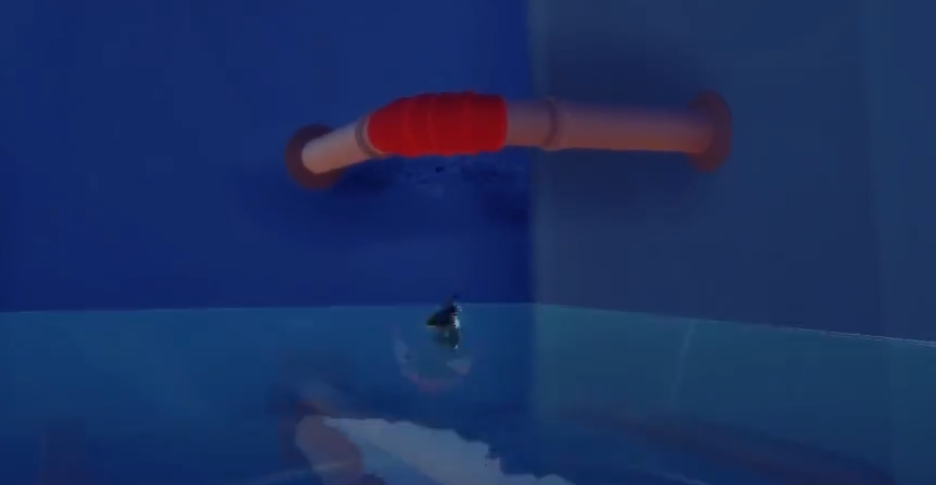 Ich bin der Anfangshinweis für den Piranha im Spiel 