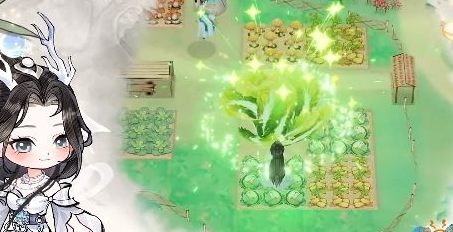 วิธีเพิ่มความนิยมในเกม Huaxia Qianqiu ควรทำอย่างไร และต้องมีความนิยมเท่าไหร่จึงจะสามารถสารภาพรักได้