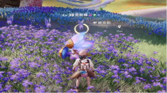 How is the Imo Witch Grass? Analysis of Imo Witch Grass Skills
