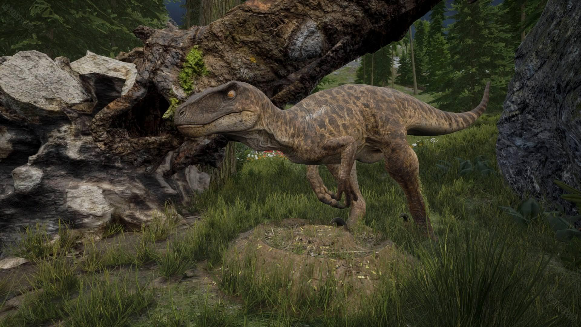 การแบ่งปันวันเปิดทดสอบเกม Dragon Island Origin ภาพรวมวันเปิดทดสอบเกม Dragon Island Origin