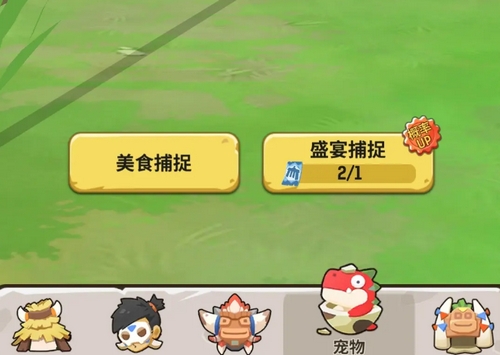What pets are good for a mage in Brave Alliance? Recommendations for mage pets in the Brave Alliance mobile game