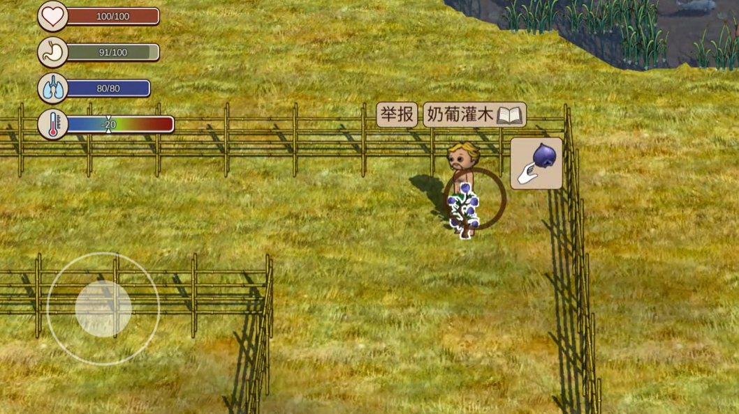 ผู้พัฒนาเกม Village Life คือใคร และวิธีการเล่นเกม Village Life