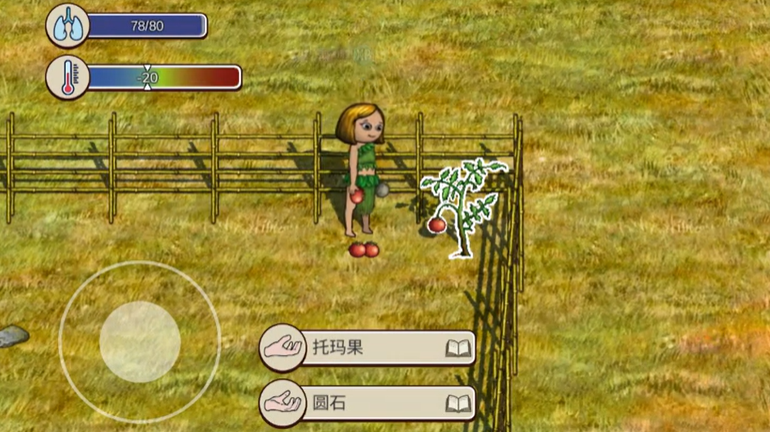 วิธีการเล่นเกมชีวิตในหมู่บ้าน วิธีการเล่นชีวิตในหมู่บ้าน